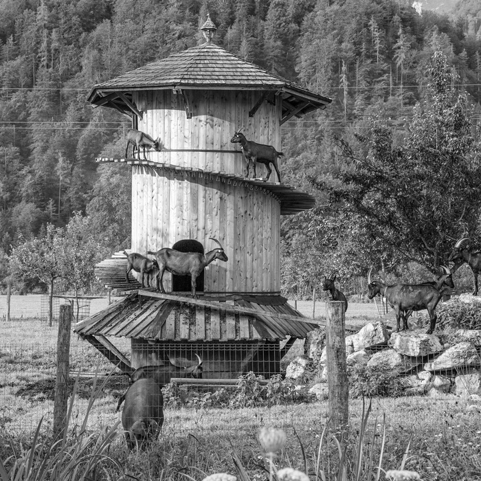 Faistenau, Salzburg