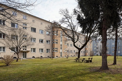 Hinterland, Wimhölzlstraße