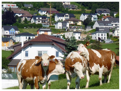 Zersiedelung