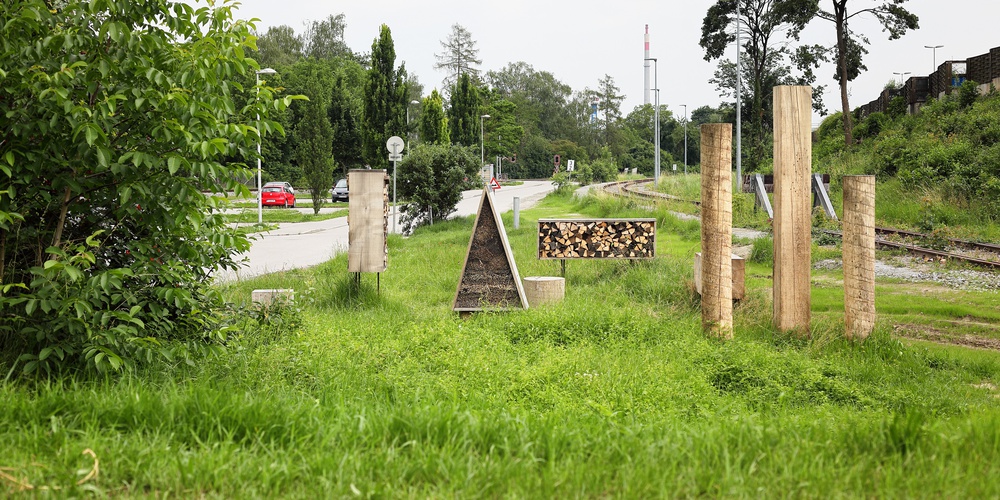 Insect City, Ivan Juarez