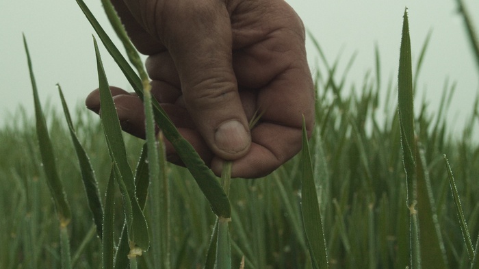 GERLACH
NL 2023
R: Aliona van der
Horst, Luuk Bouwman,
76 Min.
