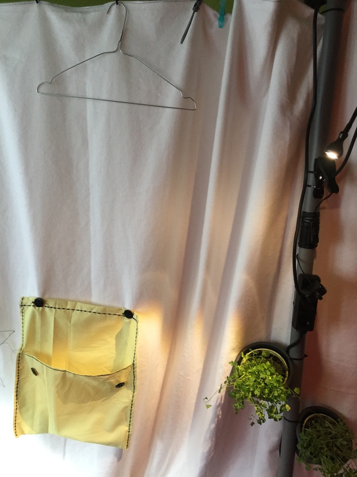 50 minuten und 50 euro