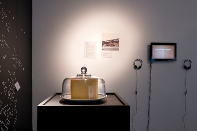 Ausstellung Zukunftsland