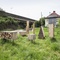 Insect City, Ivan Juarez –