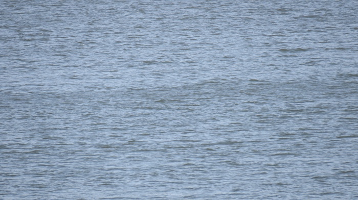 BLUE DANUBE