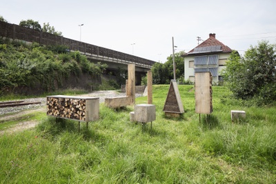 Insect City, Ivan Juarez (AIR 2018/2020)