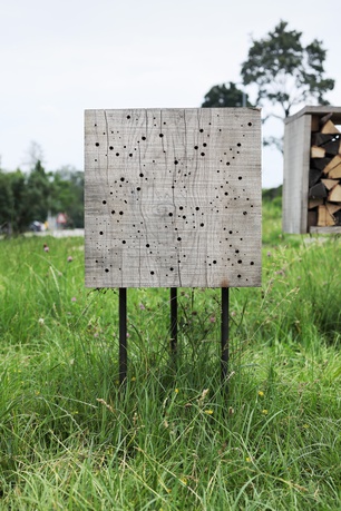 Insect City, Ivan Juarez (AIR 2018/2020) – © Gregor Graf Insect City, Ivan Juarez (AIR 2018/2020)