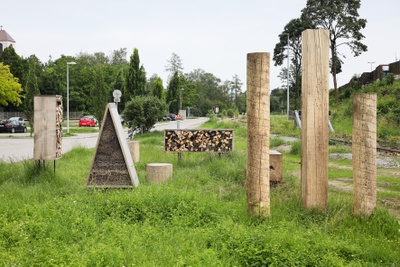 Insect City, Ivan Juarez